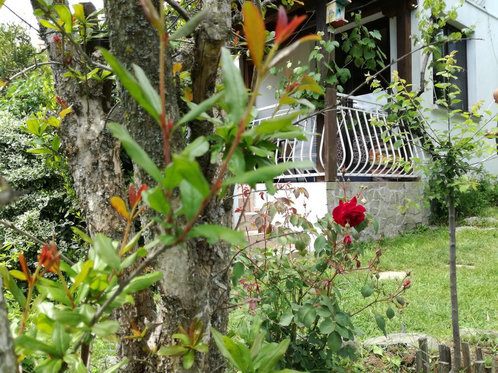 Guest House Fanny Sinemoretz Exterior foto